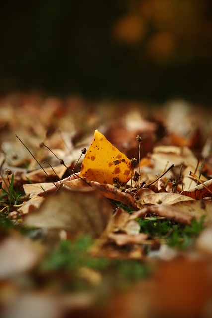 提高细节处 提高细节处
