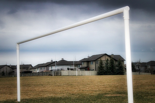 质的运动 质的运动