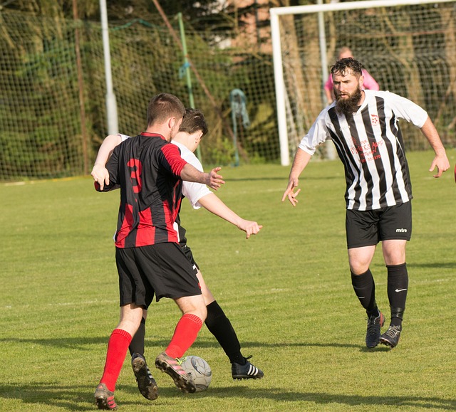 可以更好地 可以更好地