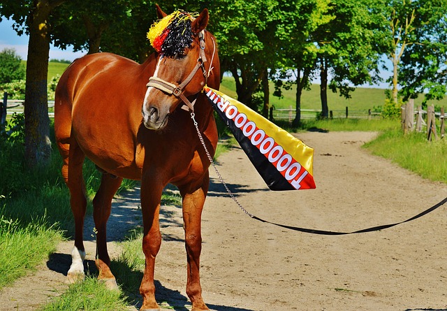 已经显而易 已经显而易