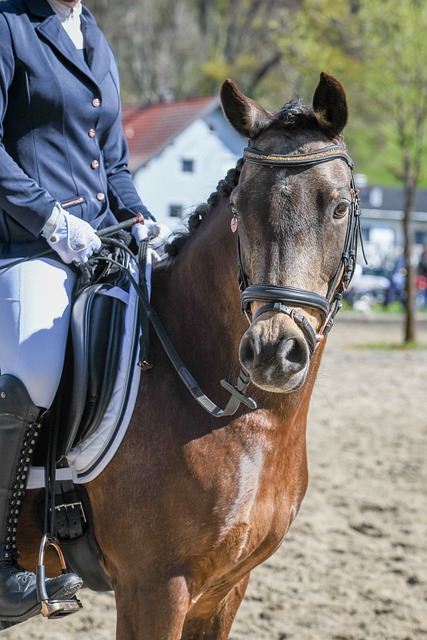 交锋中毫不 交锋中毫不